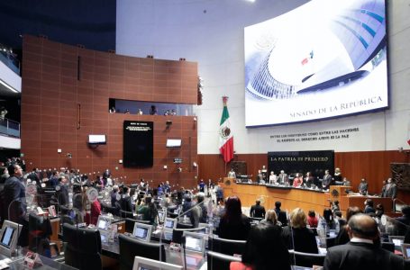 Senadores se benefician con aguinaldos y dieta por 246 mil pesos