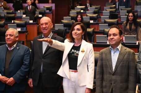 Con 13 integrantes, fortalece Movimiento Ciudadano bancada en Senado