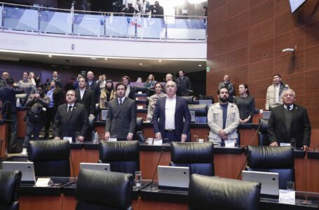 PAN en el Senado recuerda a Lenia Batres que su actuación debe ser autónoma