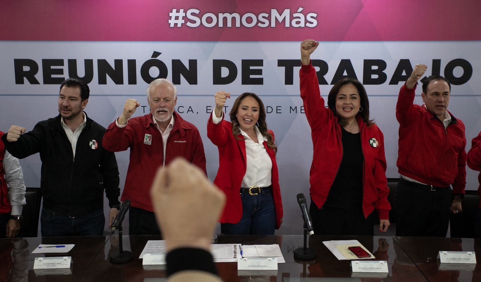 Ana Lilia Herrera asume la dirigencia del PRI en el Edomex