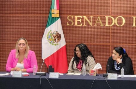 Ejecutan en CDMX a defensora de derechos humanos