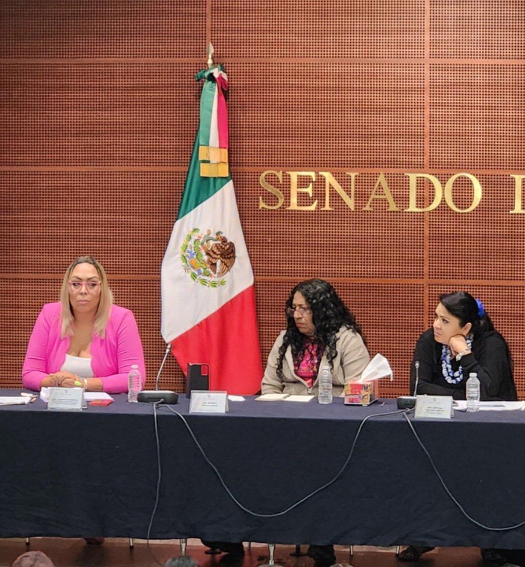 Ejecutan en CDMX a defensora de derechos humanos
