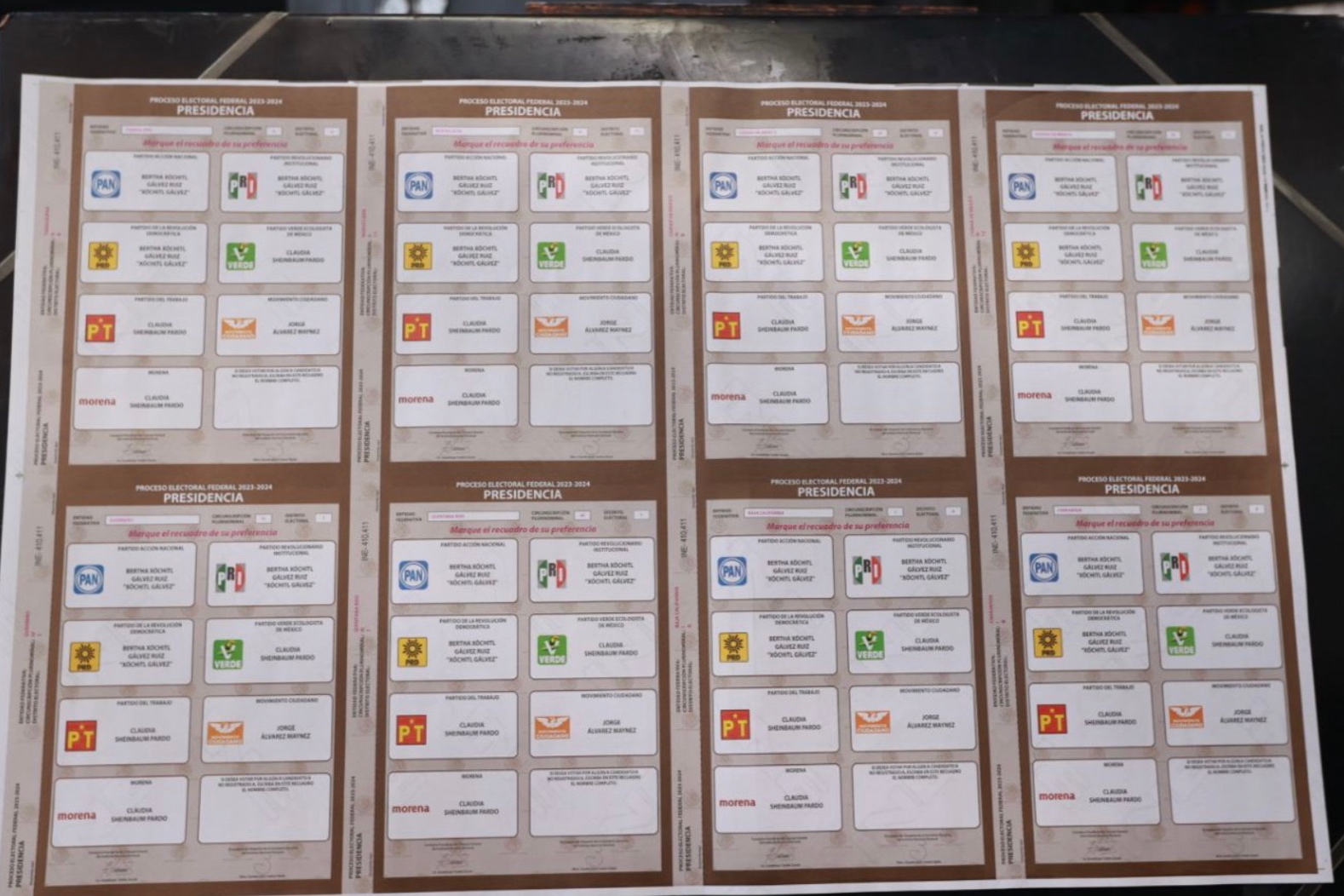 ¿Sabes qué se renovará en estas elecciones? Entérate