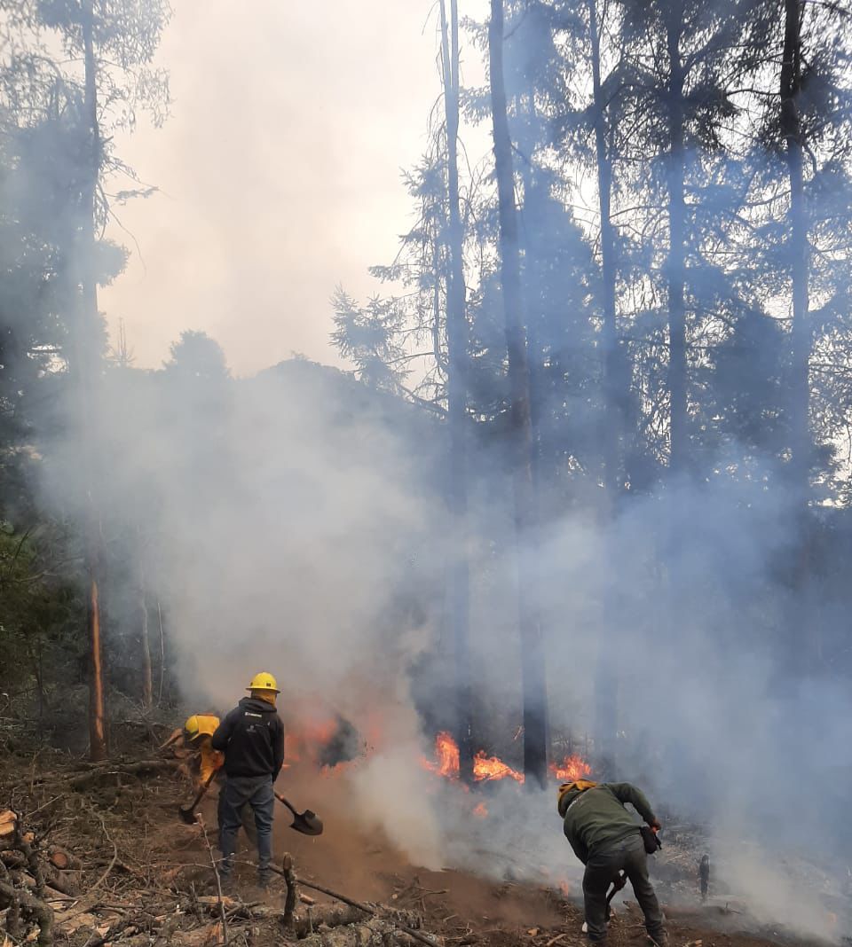 Gobierno de Edomex controla incendio forestal en el parque nacional Izta-Popo