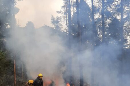 Gobierno de Edomex controla incendio forestal en el parque nacional Izta-Popo