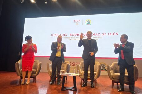 Necesario, analizar derechos de los empleados públicos: TFCyA
