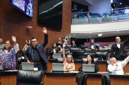 Senadores de Morena se pronuncian por la defensa de la Soberanía