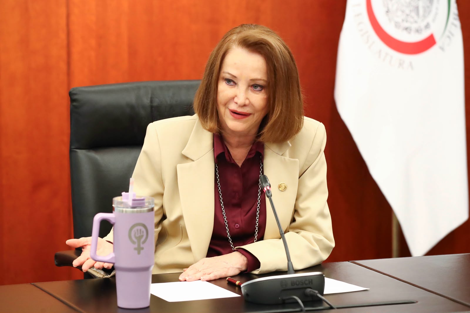 Laura Itzel Castillo se alejará de la presidencia del Senado por lesión