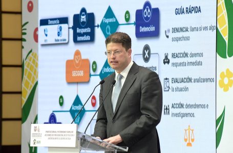 Identifica SSP grupos dedicados al despojos en la CDMX