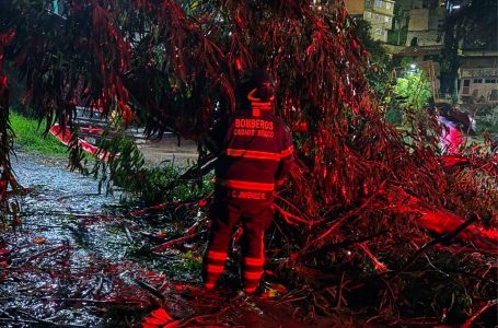 Bomberos atienden afectaciones causadas por lluvias en la CDMX