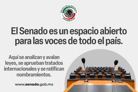 El Senado es un espacio abierto para las voces de todo el país