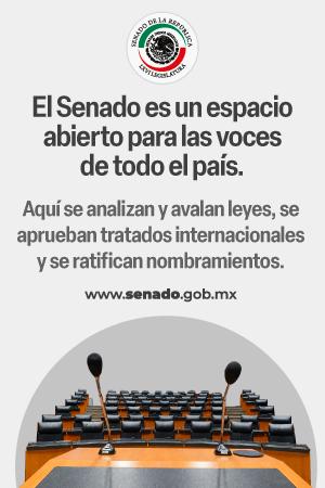 El Senado es un espacio abierto para las voces de todo el país