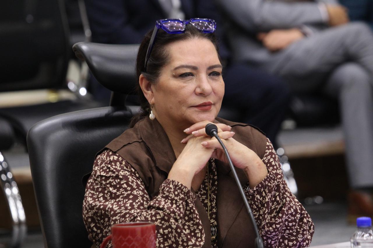 Guadalupe Tadei, dejó el INE en medio del escándalo